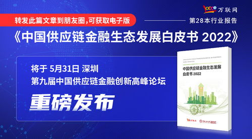 實業(yè)投資 大消費領域的堅實基石與未來機遇