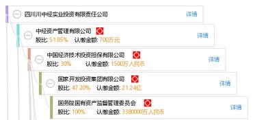 四川川中經(jīng)實業(yè)投資有限責任公司的投資管理策略與實踐